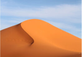 d03-Img-Dunes.jpg